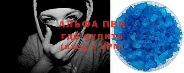 гашик Инсар
