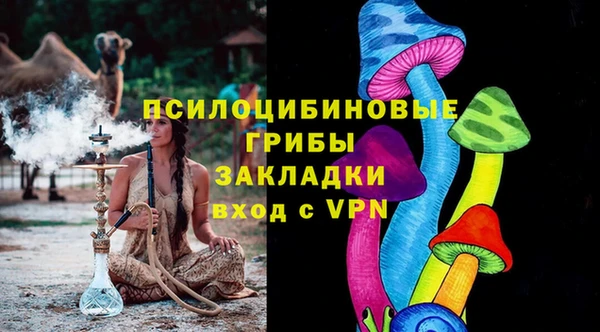 гашик Инсар