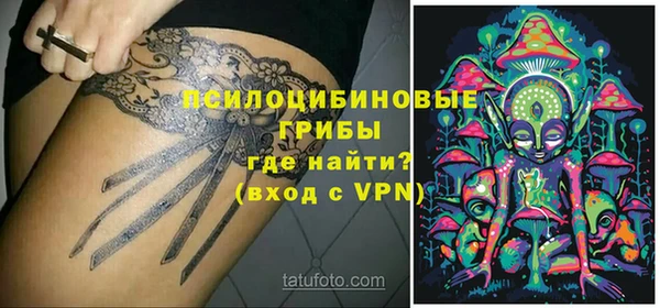 гашик Инсар