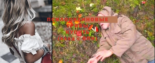 MESCALINE Иннополис