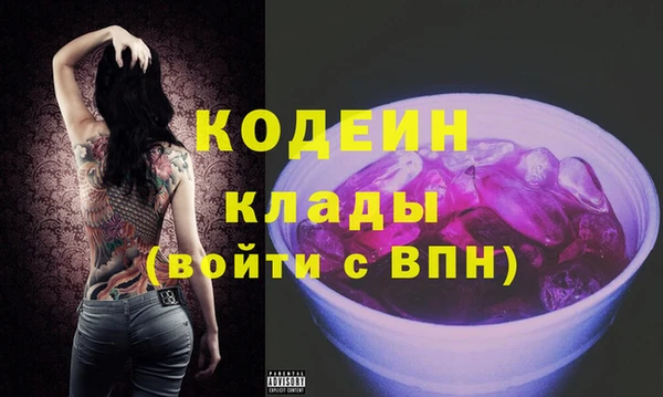 гашик Инсар