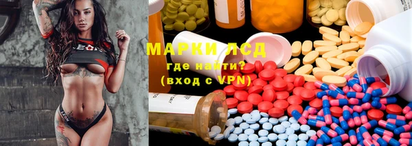 PSILOCYBIN Инта